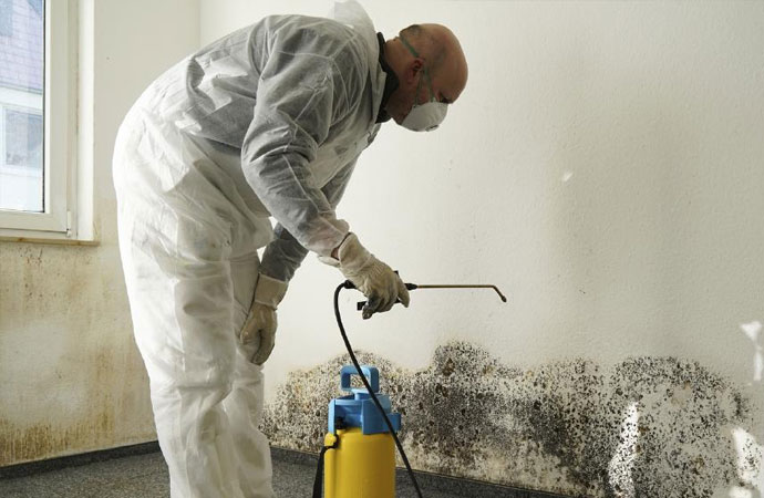 mold is removing using special chemicals and dehumidifier