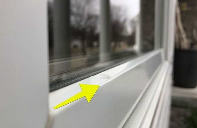 Repair & Replace Your Hail-Damaged Windows