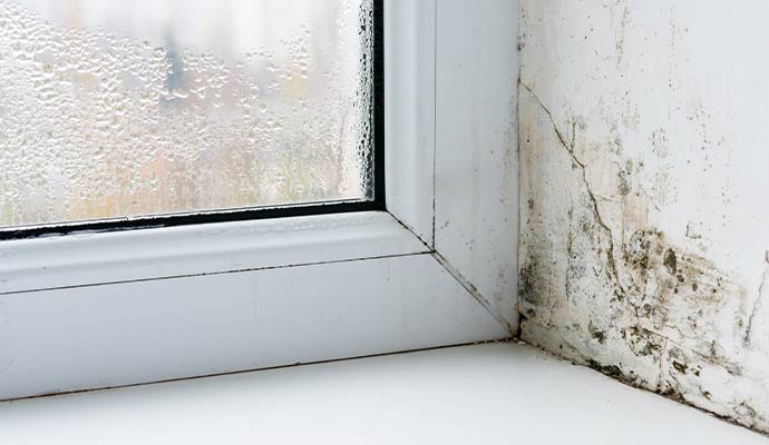 A window with significant condensation on the glass and dark mold growth on the adjacent wall