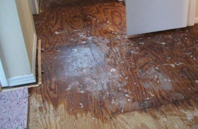 Water Damage