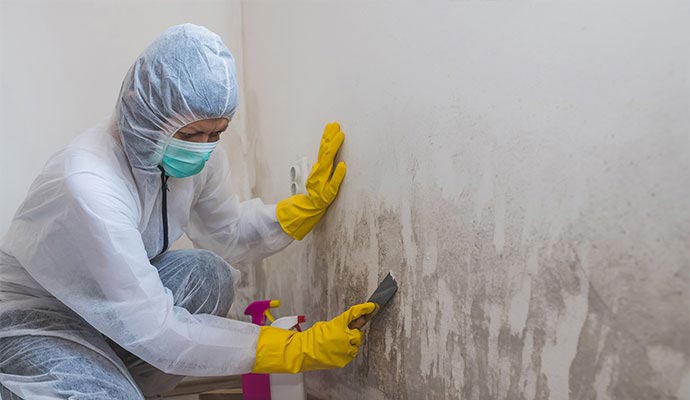 Mold remediation
