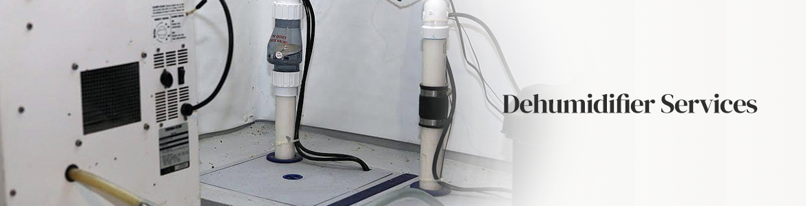 Dehumidifier Services in Little Rock, Conway & Benton, Arkansas