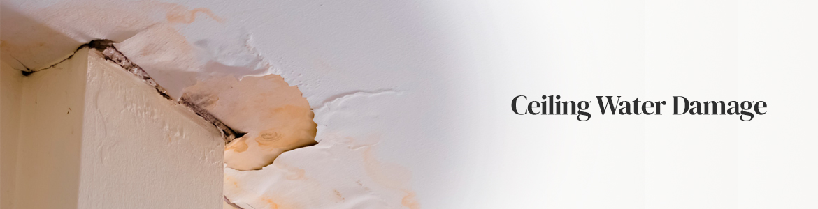 Ceiling Damage and Restoration Services in Little Rock, Conway & Benton, Arkansas