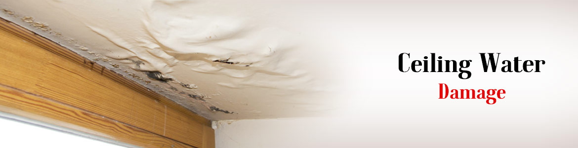 Ceiling Water Damage Restoration
