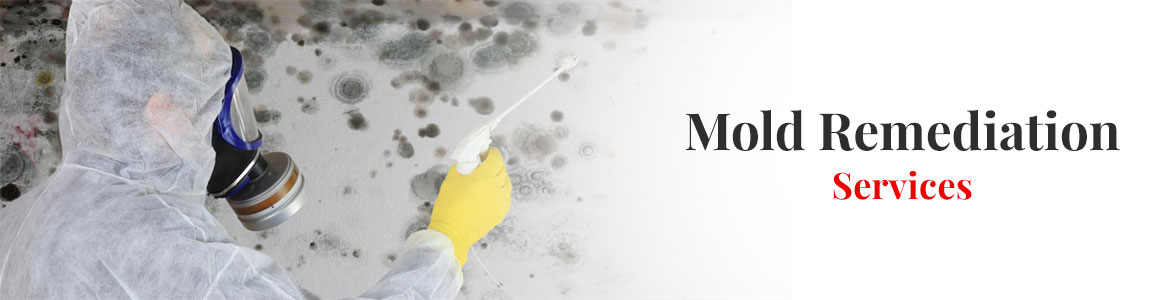 Mold Remediation in Little Rock, Hot Springs, Conway & Benton, AR