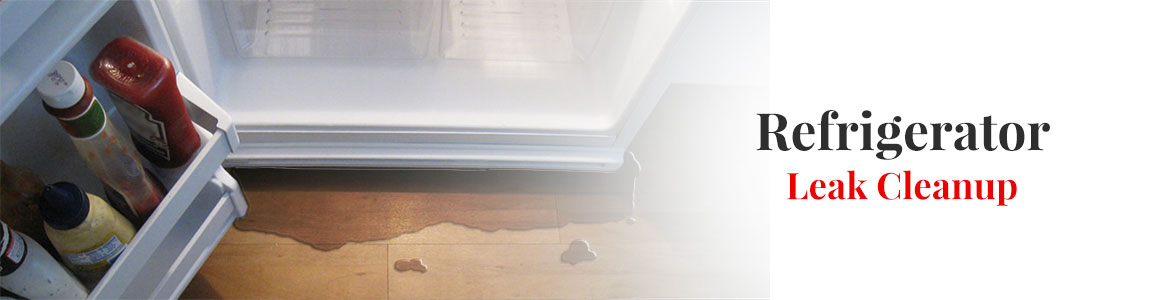 Ice Maker & Refrigerator Leak Cleanup in Little Rock, Conway & Benton, AR