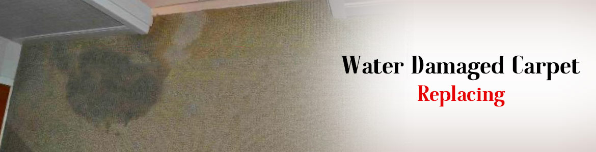 Water Damaged Carpet Replacing Service