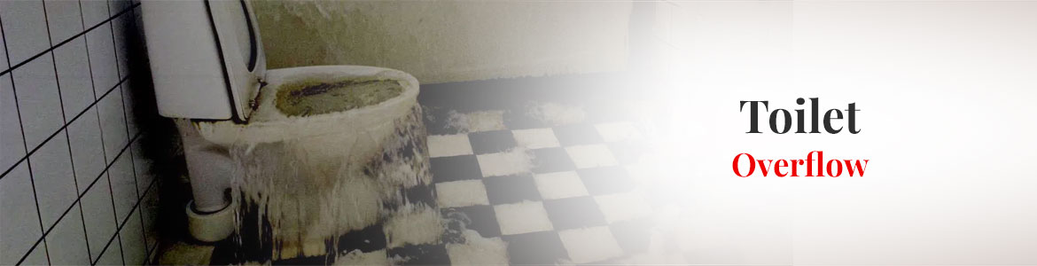 Toilet Overflow in Little Rock, Conway & Benton, AR