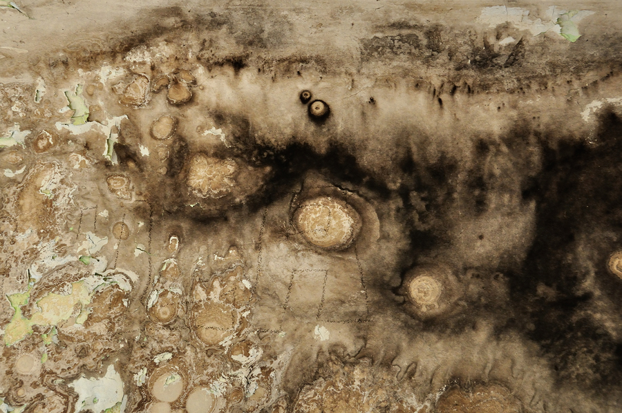 How Dangerous is Mold Infestation | Advice for Little Rock, AR, Property Owners