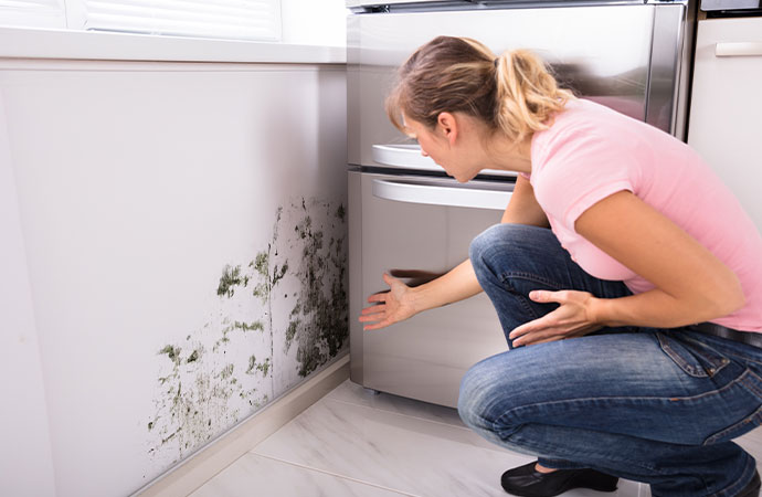 Warning Signs of Mold in your Home