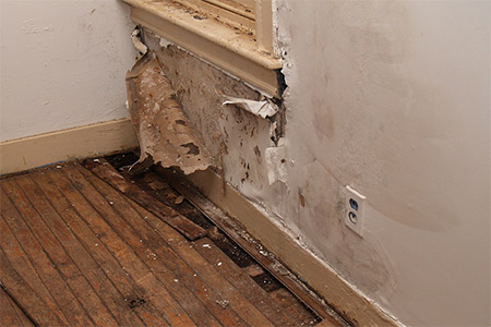 Water damaged interior wall