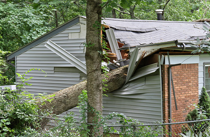 What to Do After Storm Damage