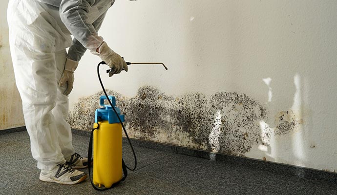 Mold remediation professionally Mold remediation professionally