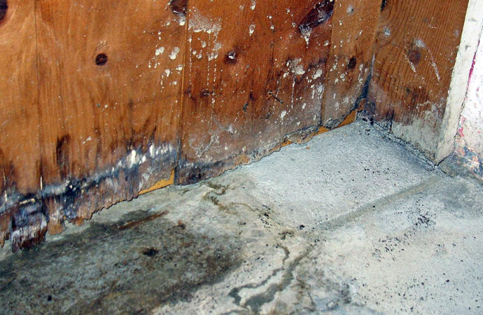 Mold Damage Restoration in Little Rock, Hot Springs & Benton, AR
