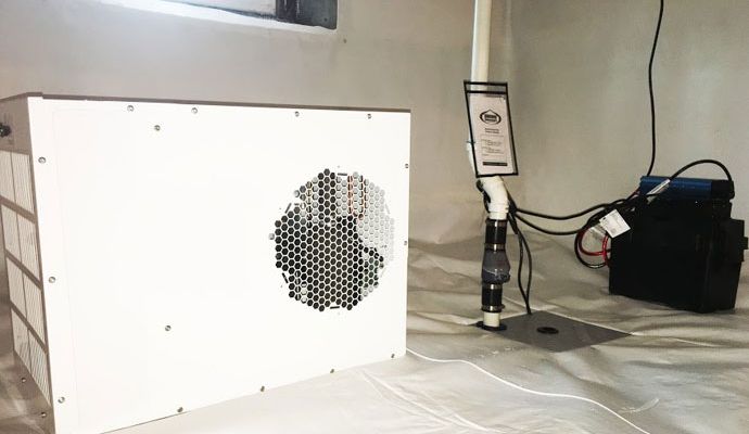 Professional dehumidification service in progress