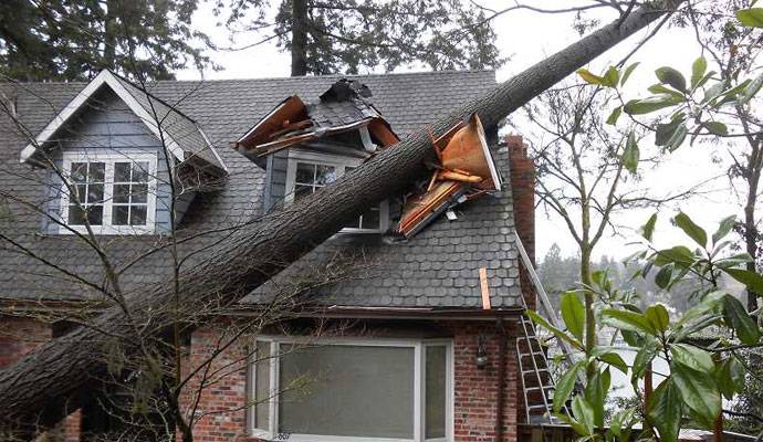 Storm Damage