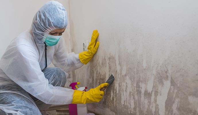 A person is removing mold