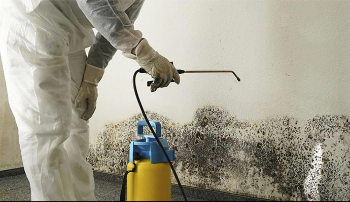 Storm, Flood, Mold Damage and Disinfecting Service