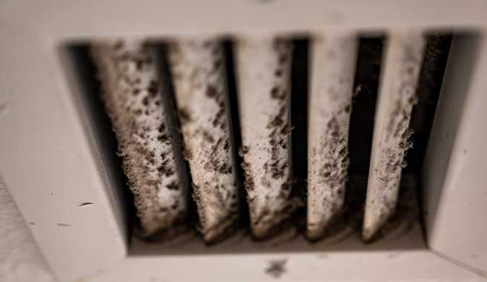 Mold damaged HVAC vent