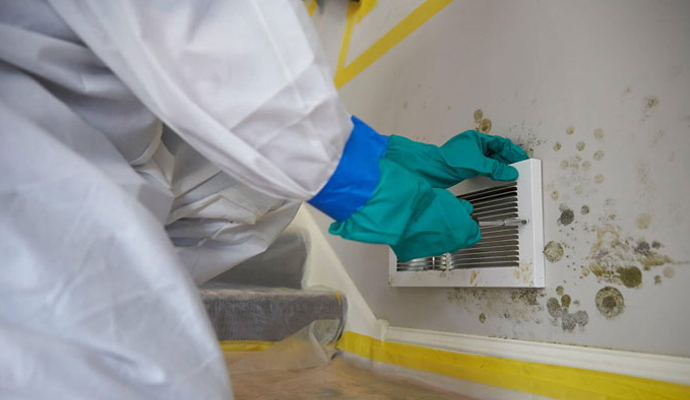 Mold damaged vent Mold damaged vent