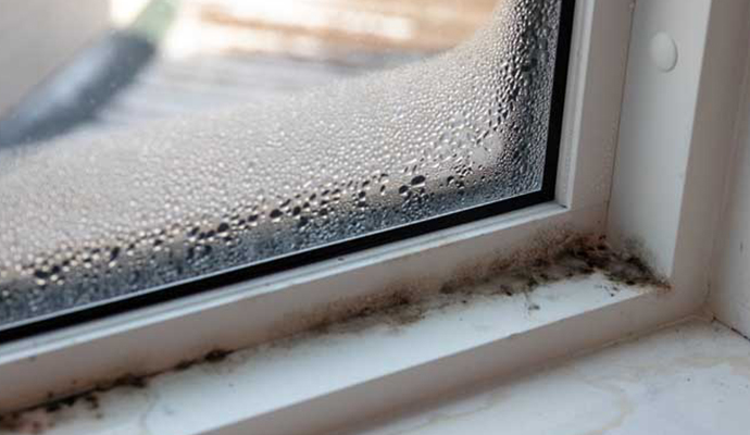 Mold damaged window corner