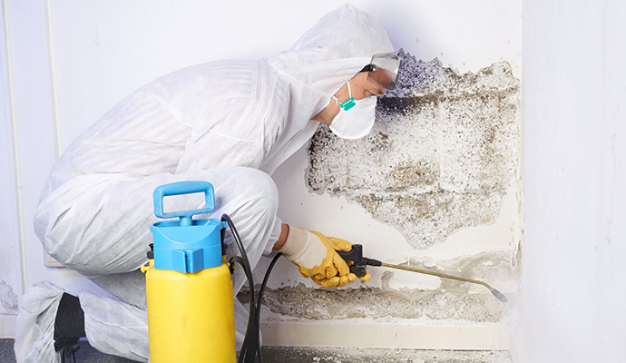 Mold Remediation in Little Rock & Benton, AR