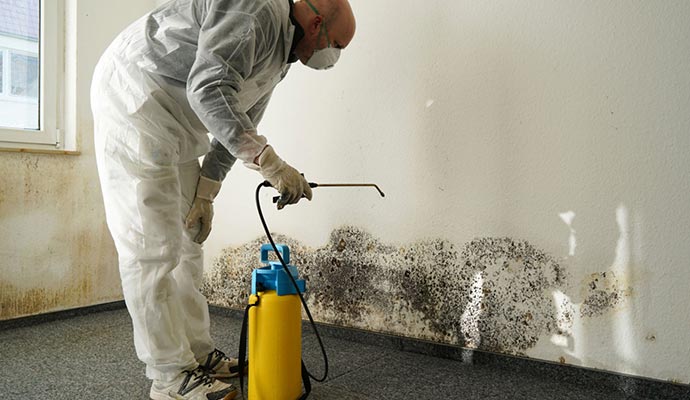Professional mold remediation service Professional mold remediation service