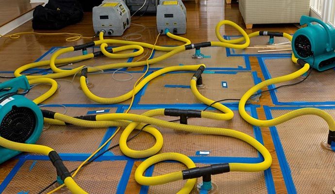 Professional water extraction and drying service