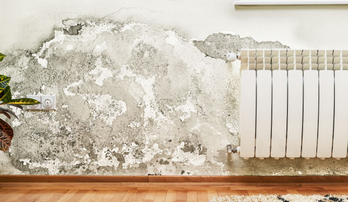 Water damage peeling plaster wall