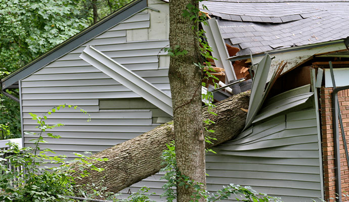 Fallen tree crushing house roof