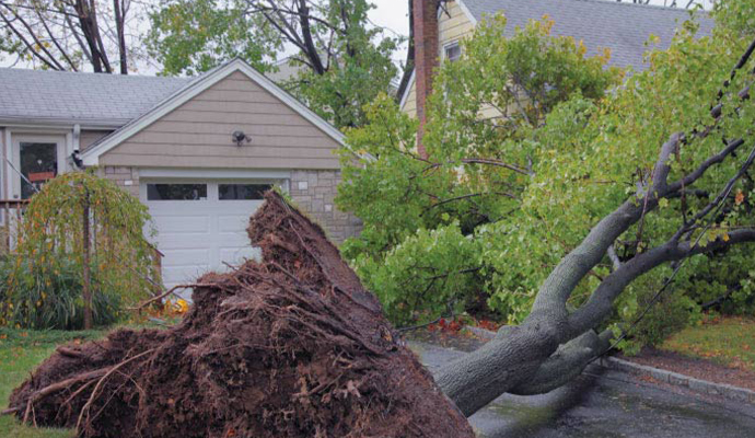Hurricane damaged property