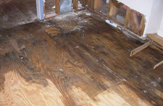 Water Damage Restoration Processg