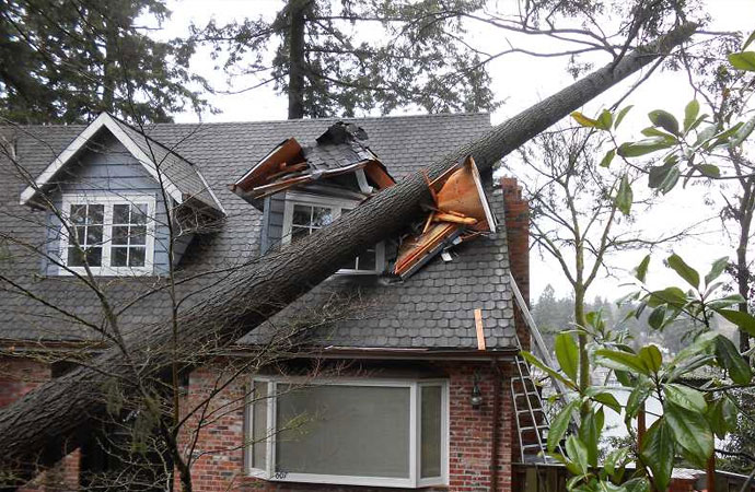 Roof Storm Damage in Little Rock, Hot Springs, Conway & Benton