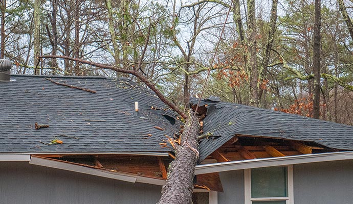 A house roof damaged by a storm and fallen tree