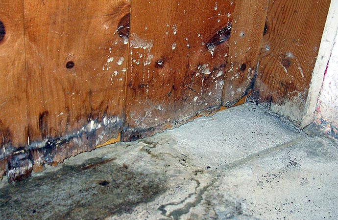 water damage basement floor wood board