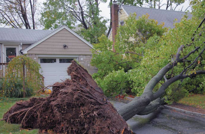Wildfire Damage Restoration Service in Little Rock, Conway & Benton, AR
