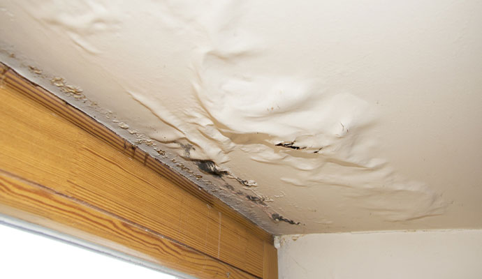 Ceiling water leak due to roof leak
