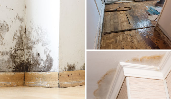 Collage of mold damaged wall, damaged wooden floor and damaged ceiling