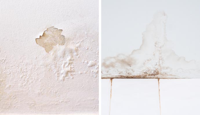 Collage of water damaged wall and roof