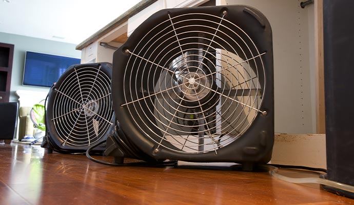 Drying fans on wood floor