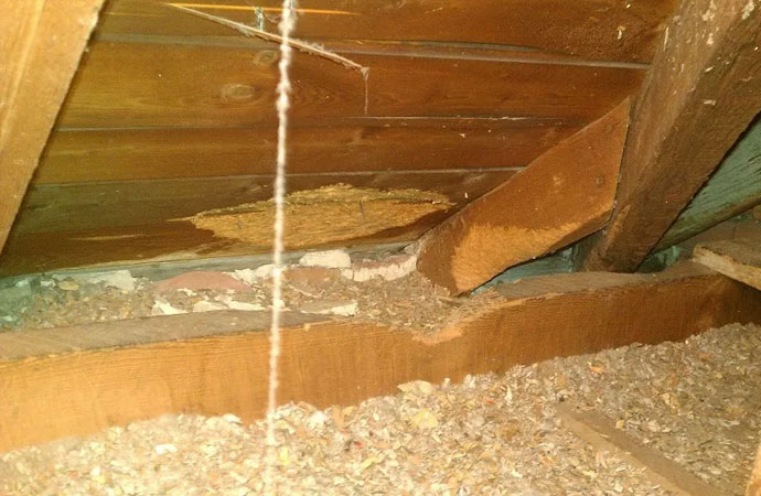 How to Prevent Attic Damage