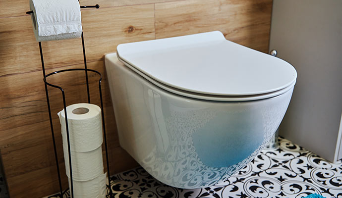 Modern wall-mounted toilet