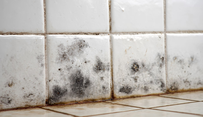 Mold damaged tile wall and floor