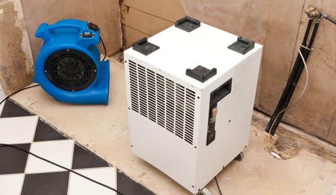 Professional water damage cleanup