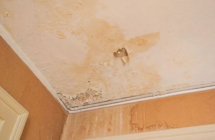 Signs of Water Damage