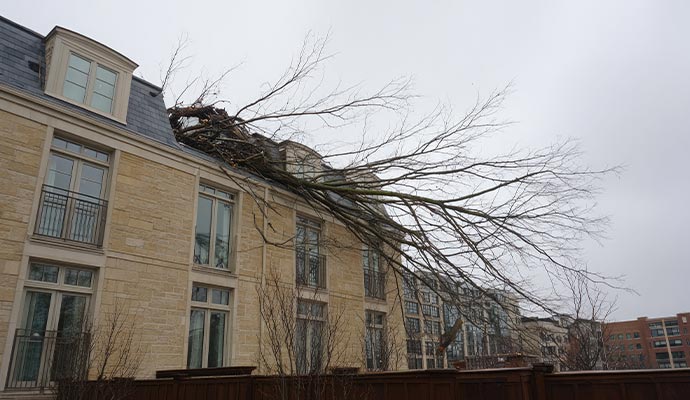 Tornado damaged house