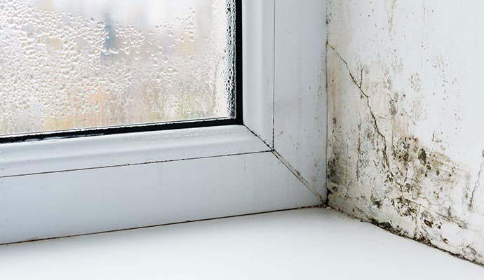 Visible mold on window corner