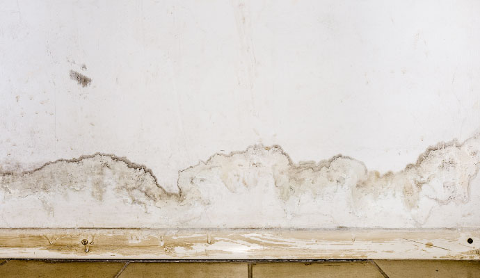 Water damage wall baseboard mold