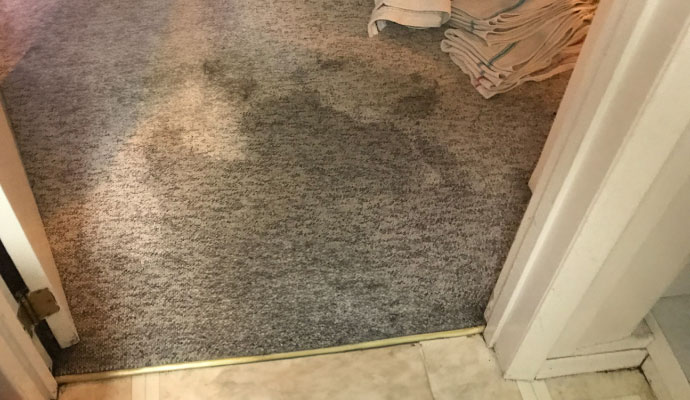 Water damaged carpet
