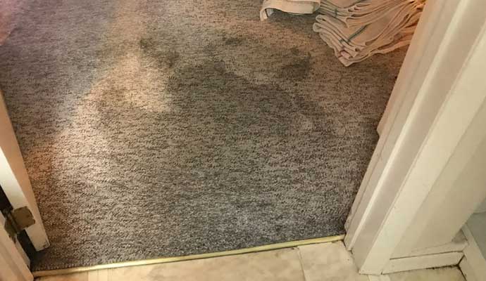 Water-damaged carpet near doorway Wet carpet with visible water stains near a doorway